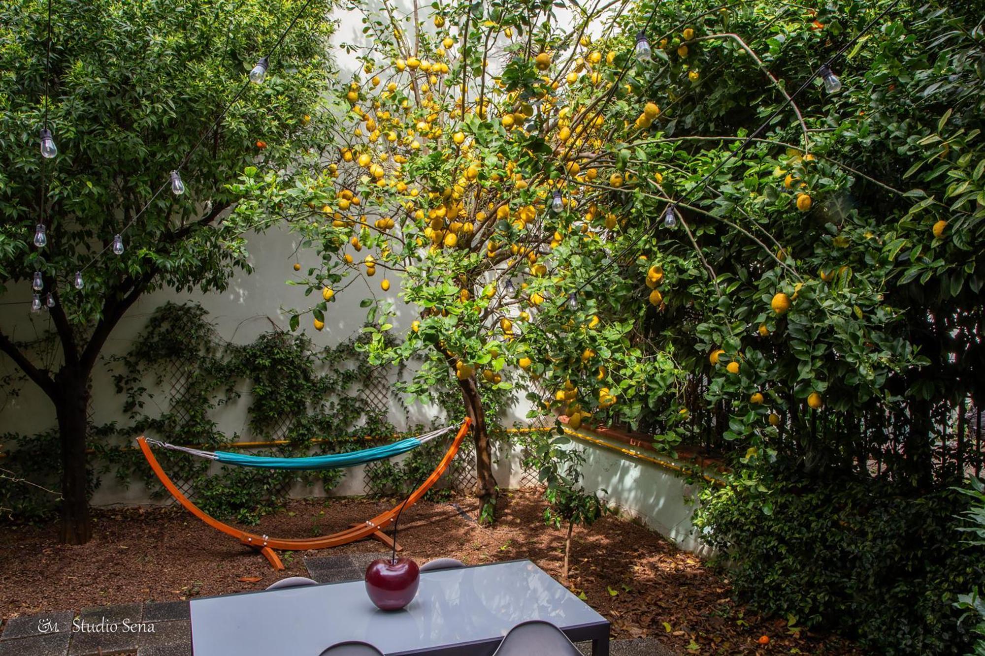 Utopia Bed & Breakfast Marigliano Exteriér fotografie